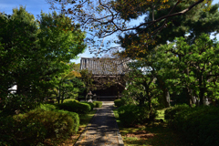191028d養源院57