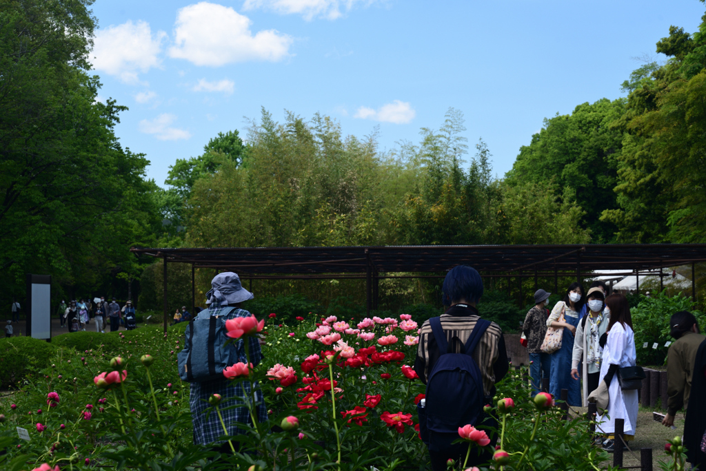 220503d京都植物園14