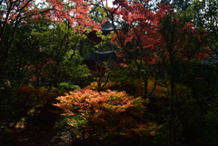 201108円成寺28