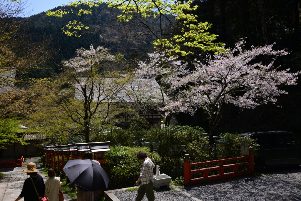 240414c鞍馬寺06