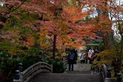 171209d京都家裁44+