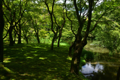 230825京都植物園29