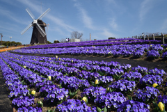 210311b鶴見緑地10