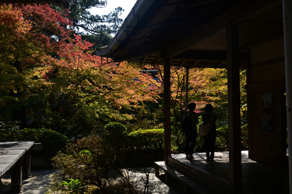 231102c西明寺25