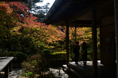 231102c西明寺25