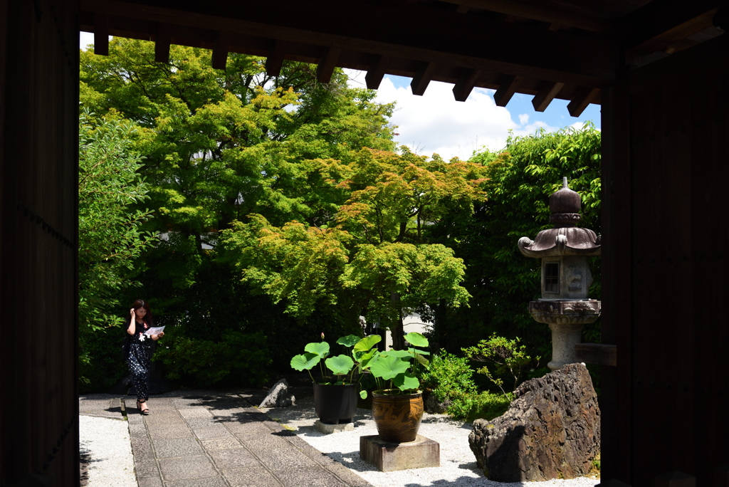 190624b妙心寺31長興院