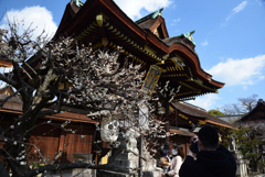 210211b北野天満宮50