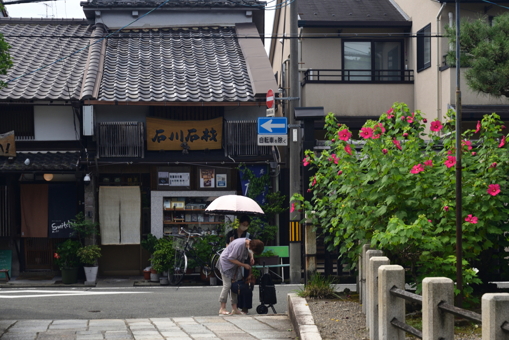 210811a妙蓮寺07