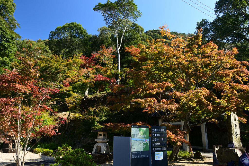 221028c興聖寺33