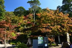 221028c興聖寺33