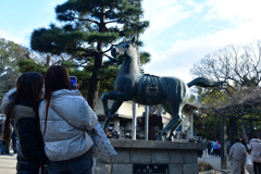 260103藤森神社06