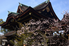 250314a北野天満宮11