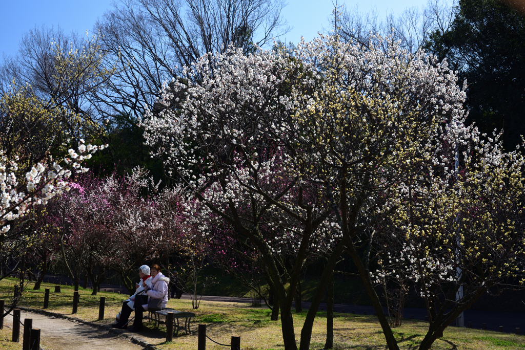 200221荒山公園19