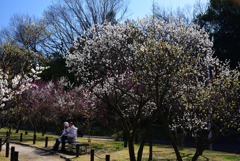200221荒山公園19 200221荒山公園19