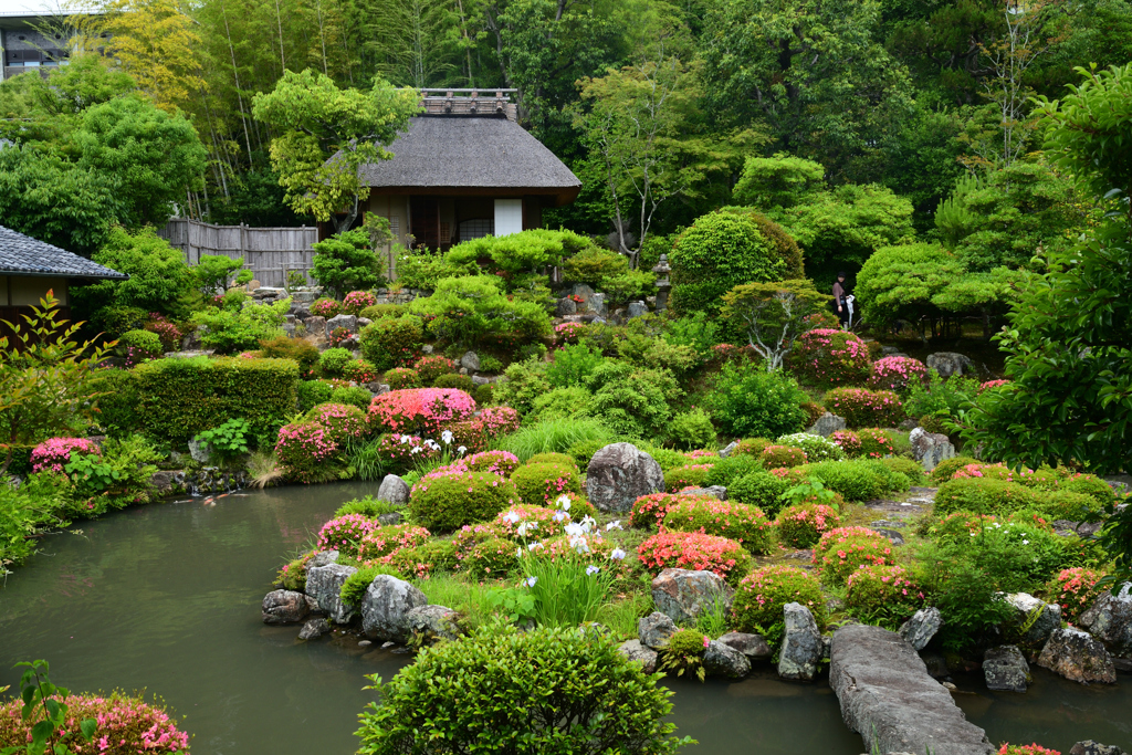 230604a等持院15