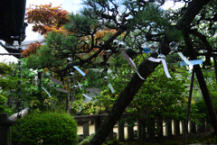 200718cおふさ観音26