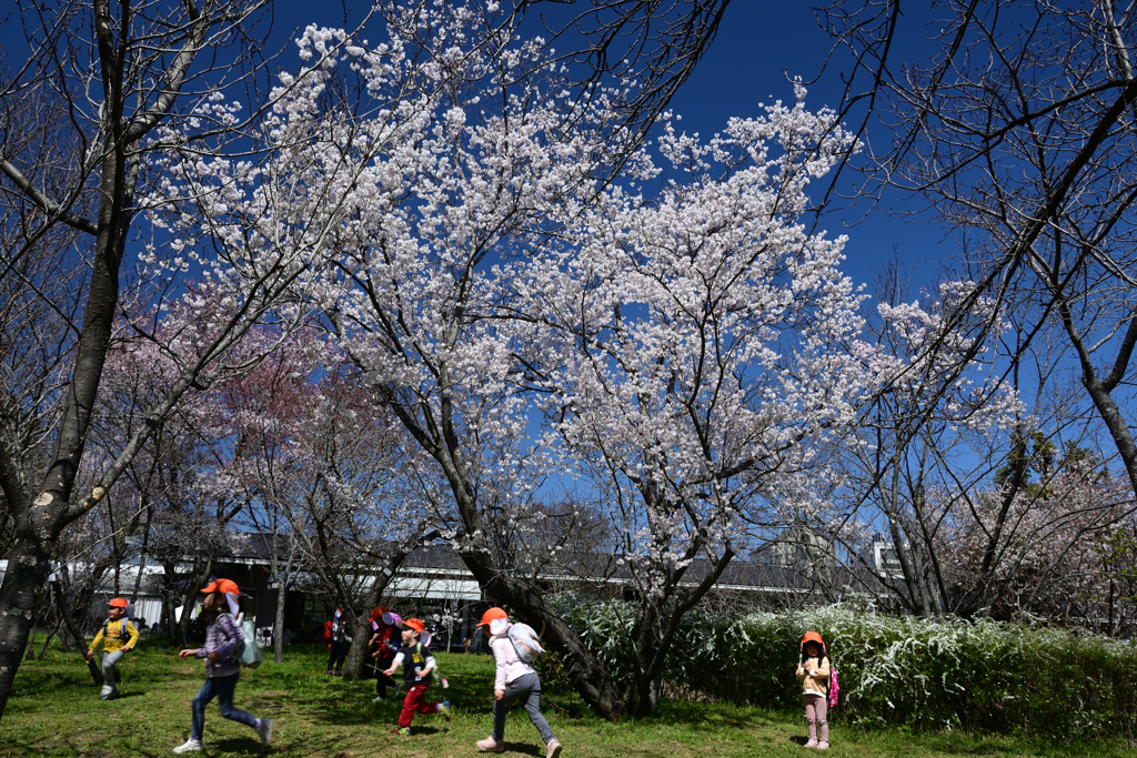230320a京都植物園50
