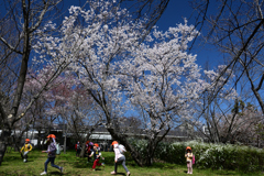 230320a京都植物園50