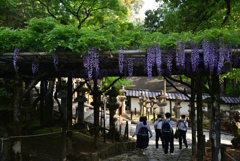 220425b春日大社31