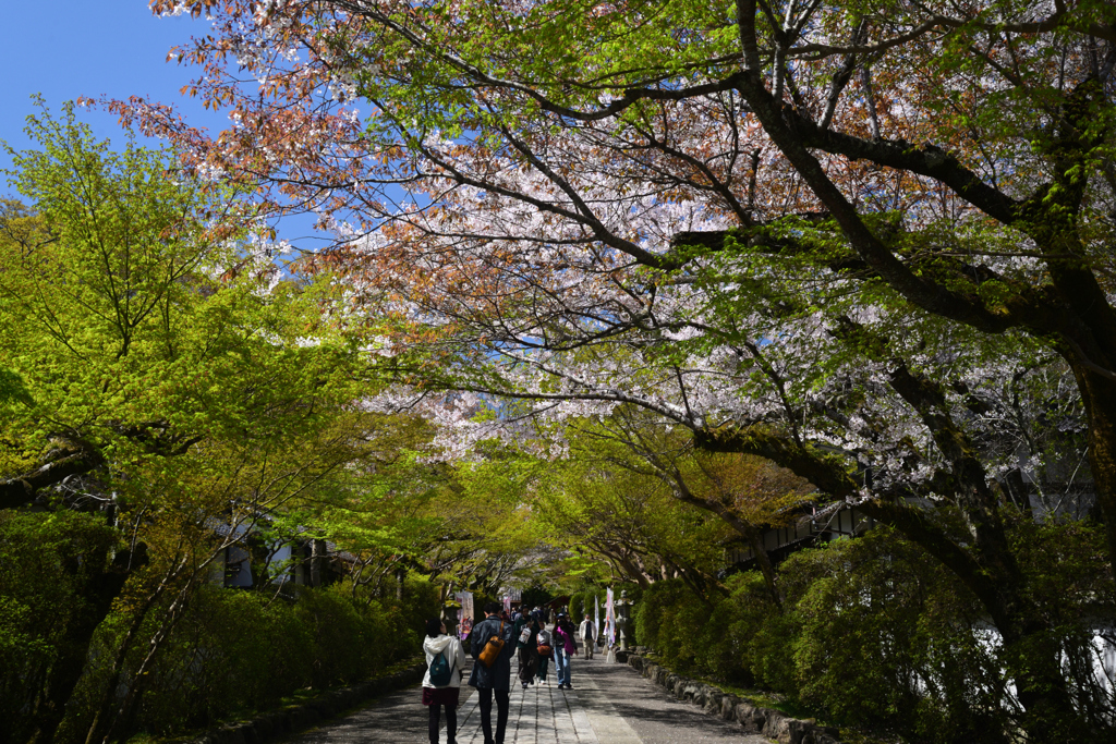 240410a石山寺07