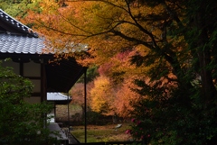 181130c南禅寺高徳庵41