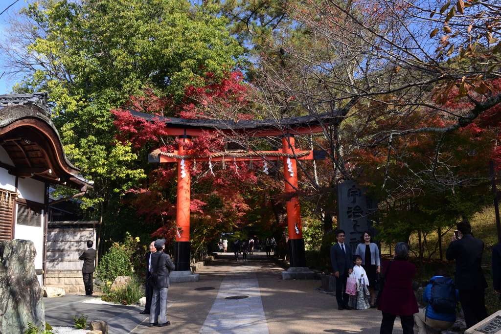 221119b宇治上神社18