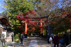 221119b宇治上神社18