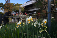 220116b恵心院11