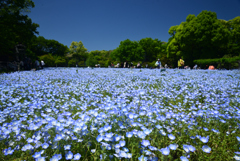 240503a長居植物園01