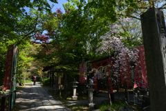 220412a京都御苑01