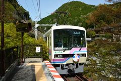 250419b貴船44