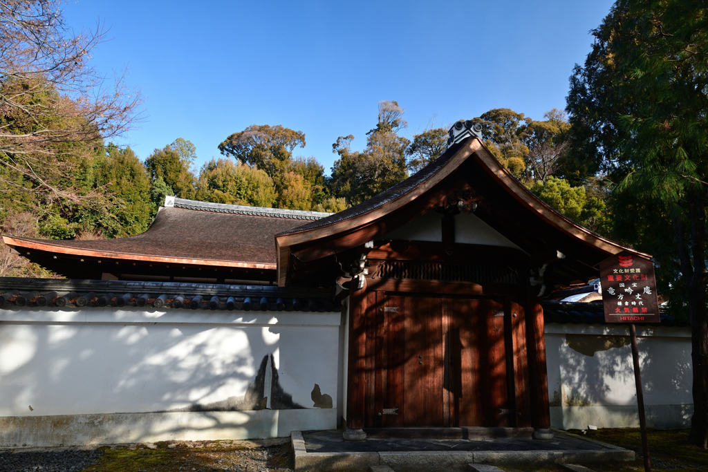 240108a東福寺10