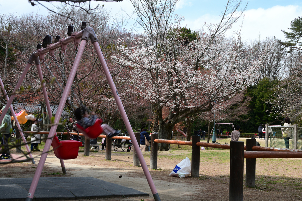 250330b京都御苑43
