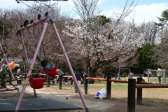 250330b京都御苑43