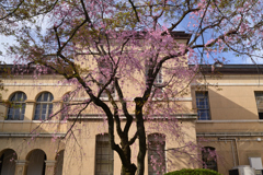 230327b京都府庁03