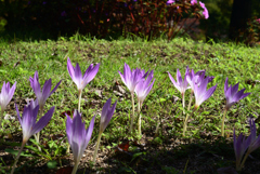 221014馬見丘陵公園30