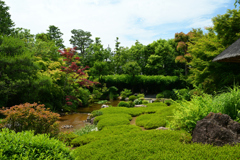 250606妙心寺退蔵院27