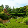 250606妙心寺退蔵院27