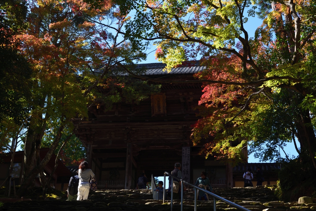 181103b神護寺18