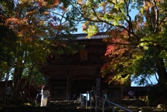 181103b神護寺18