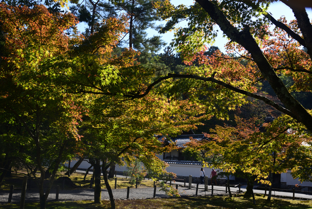 241112b南禅寺29