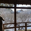 250208東福寺1