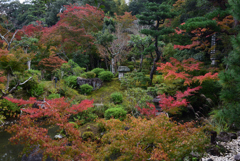 201108吉城園02