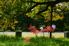 231006g京都御苑08