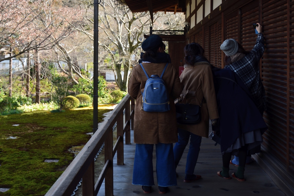 180218a東福寺17+