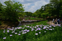 220528山田池公園33