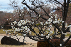 240218b智積院31