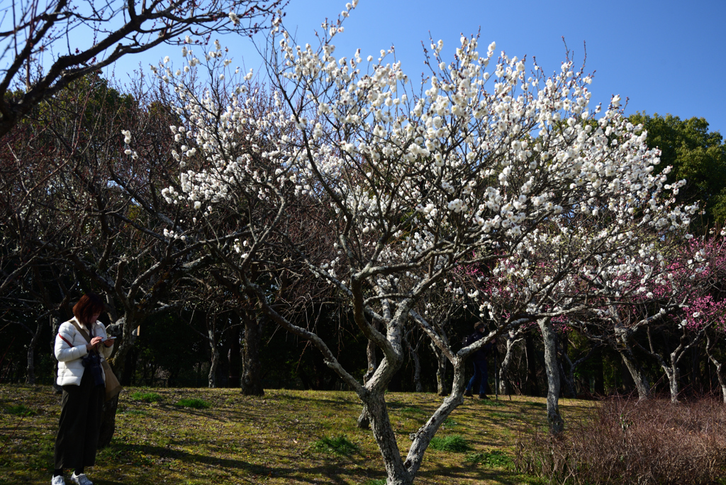210213山田池公園13