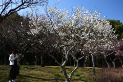 210213山田池公園13