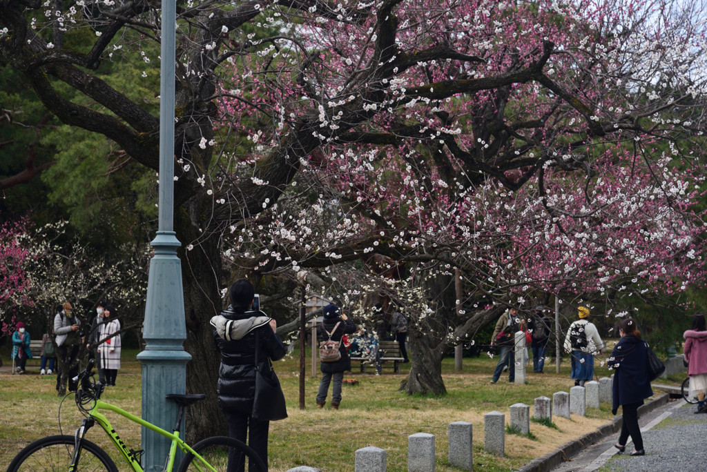 200223c京都御苑16
